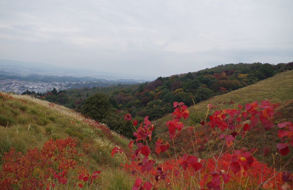 リゾートバイトの紅葉シーズンの写真