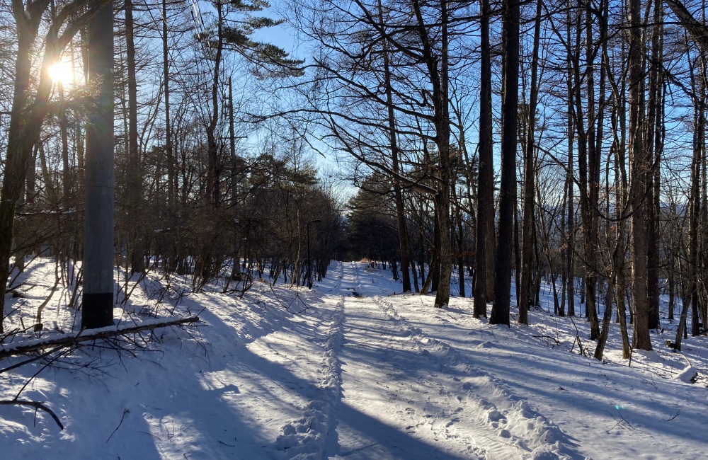 リゾートバイト雪景色