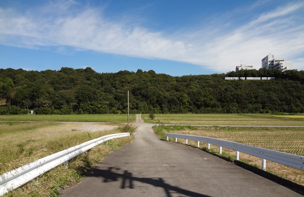 農業バイトの景色